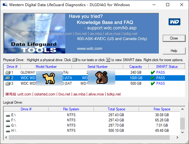 西部数据(WDC)硬盘官方检测工具 - Data Lifeguard Diagnostic_v1.37 - 第2张图片 | 細水長流 西部数据(WDC)硬盘官方检测工具 - Data Lifeguard Diagnostic_v1.37 - 第2张图片