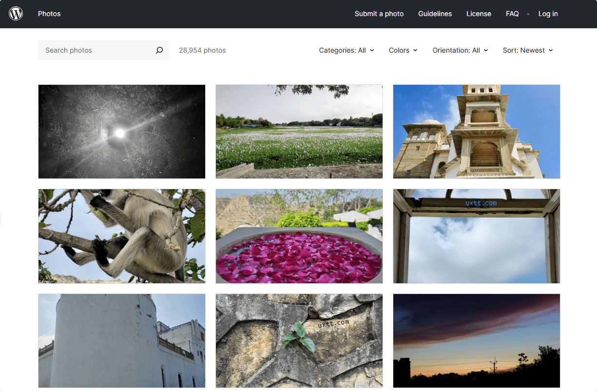 Automattic CC0 授权可免费商用图库 WordPress Photos - 第1张图片 | 細水長流 Automattic CC0 授权可免费商用图库 WordPress Photos - 第1张图片