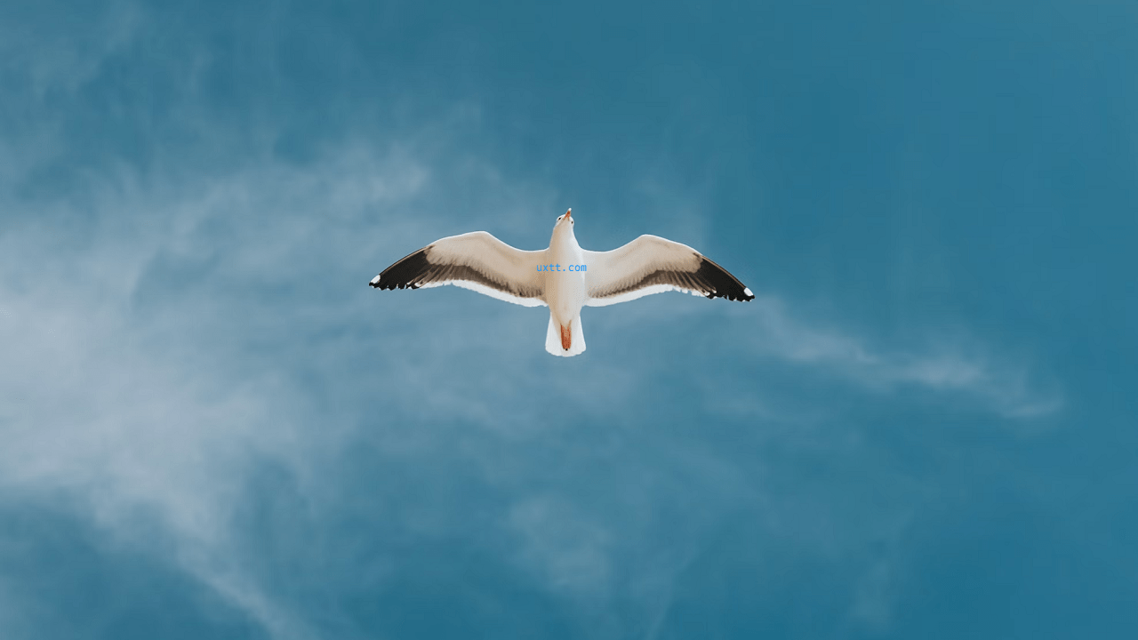 中国+流量未达标如何秒过X推特「创作者认证」? - 第1张图片 | 細水長流 中国+流量未达标如何秒过X推特「创作者认证」? - 第1张图片