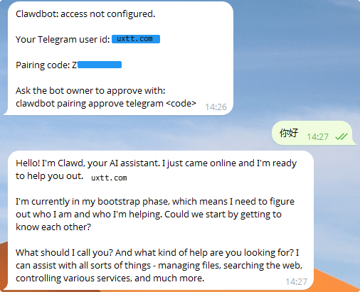 闲置VPS部署Moltbot(Clawdbot) - 第8张图片 | 細水長流 闲置VPS部署Moltbot(Clawdbot) - 第8张图片